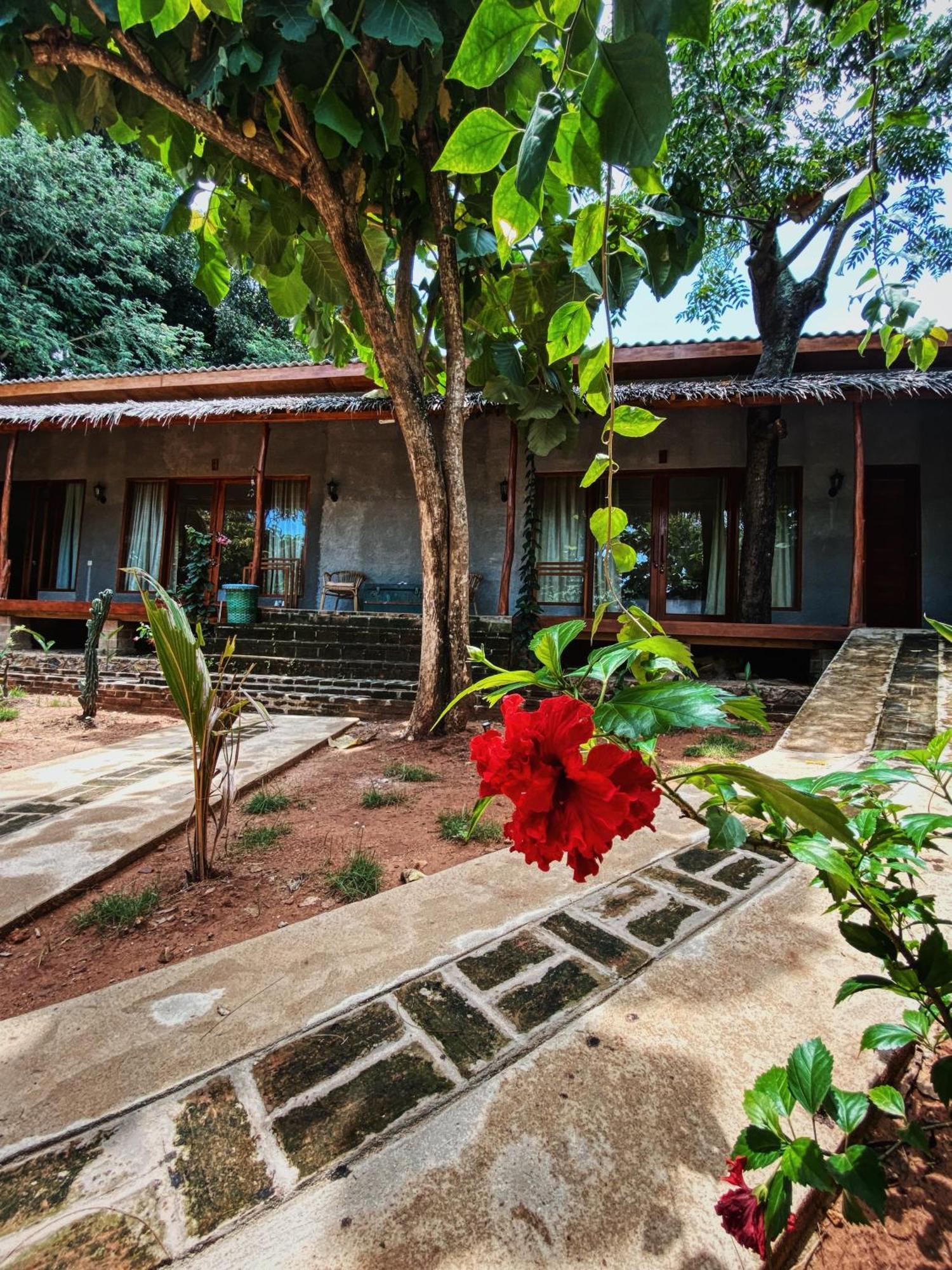 Basa-Basi Lodge Каримунджава Екстериор снимка